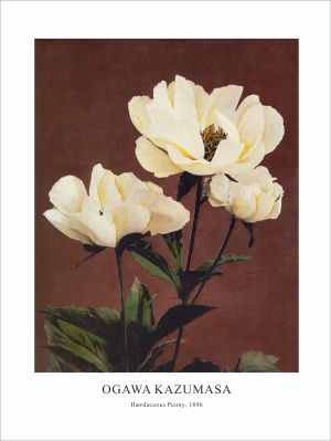 Принт Hærdaceous Peony, Огава Казумаса - репродукция